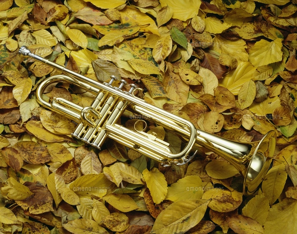 金管楽器サークル教室